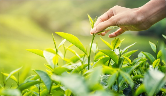 Фонд поддержки производителей органической продукции проводит конкурс грантов