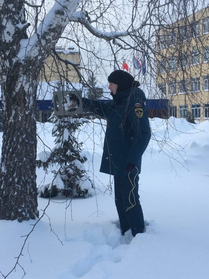 Подольские студенты присоединились к акции «Покормите птиц зимой!»