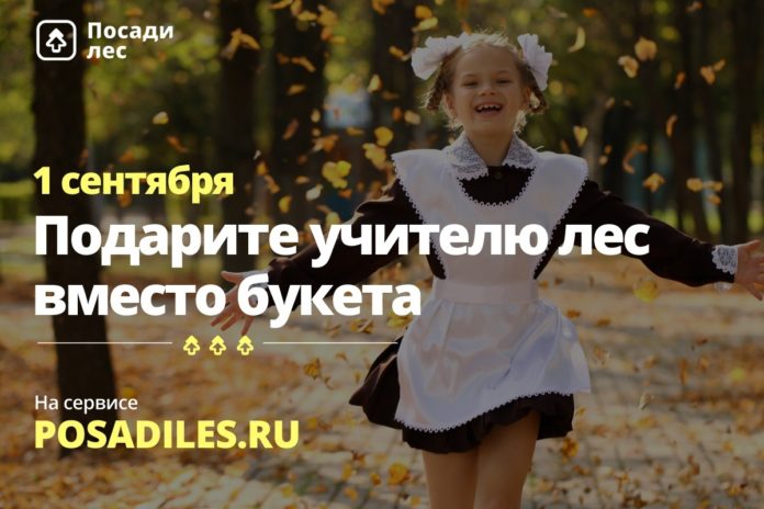 Принять участие в экологической акции «Лес вместо букета» могут жители Подольска