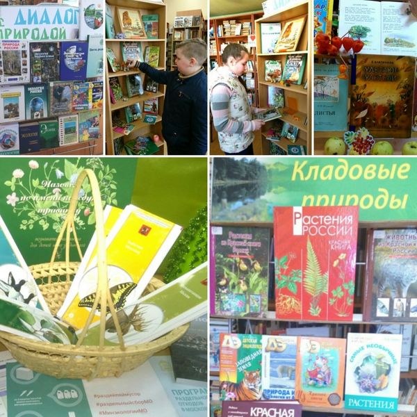 В Центральной детской библиотеке оформлены книжные выставки об охране окружающей среды