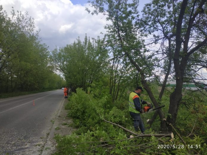 Работники ПКБ приступили к работам по спилу древесной поросли в микрорайоне Климовск