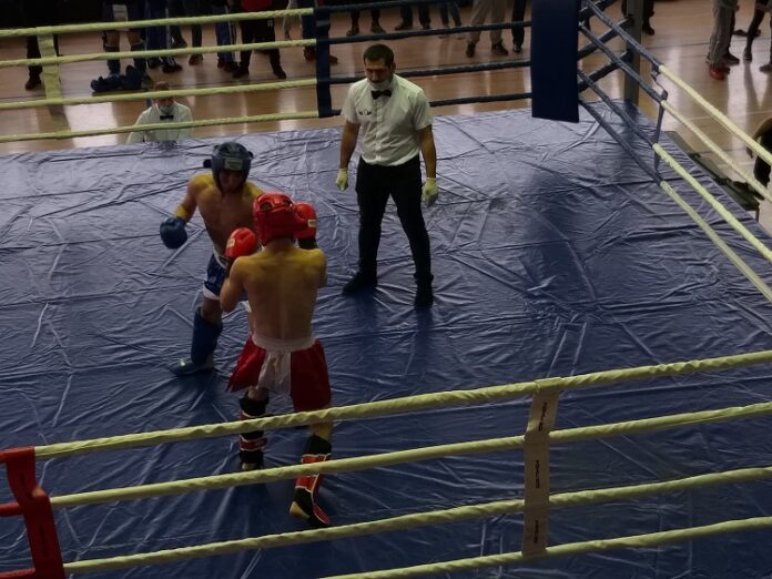 Открытый турнир по кикбоксингу памяти Героя России Александра Монетова состоялся в Большом Подольске