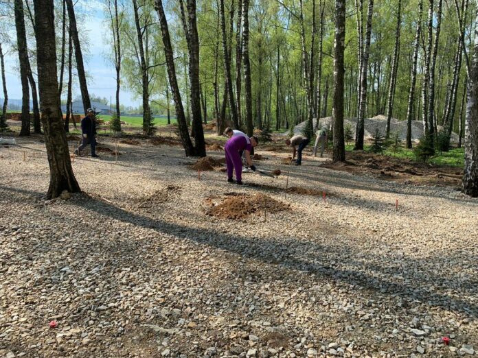 В Подольске продолжают благоустраивать «Дубровицкий лес» 