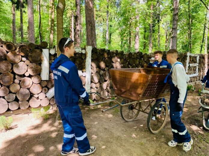 Порядка 40 вакансий доступно для летнего трудоустройства подростков в Подольске 