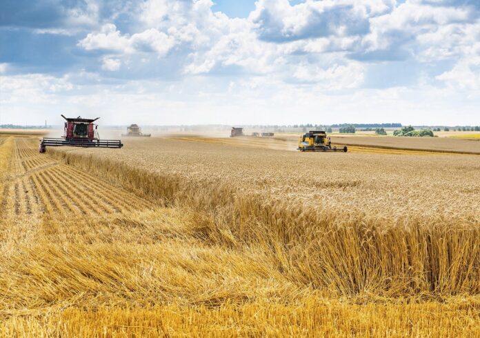 Начинающие подольские фермеры могут получить бесплатную помощь