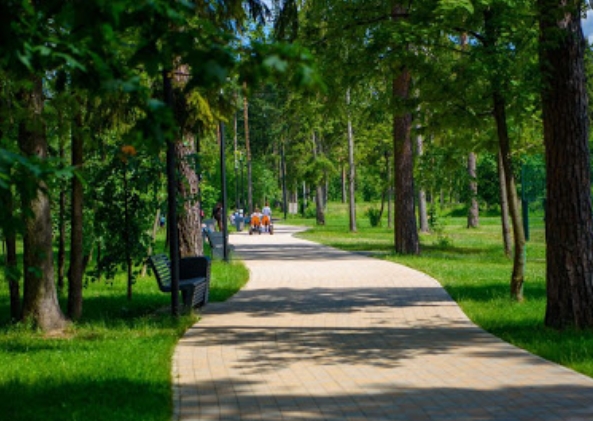 На портале «Добродел» продолжается сбор предложений по определению «зеленых зон» в Подмосковье