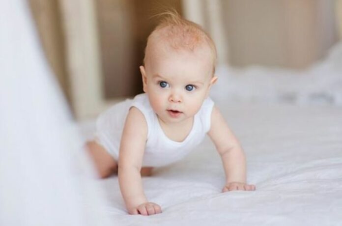 В Подмосковье более 50 тысяч семей получили денежную выплату для новорождённых