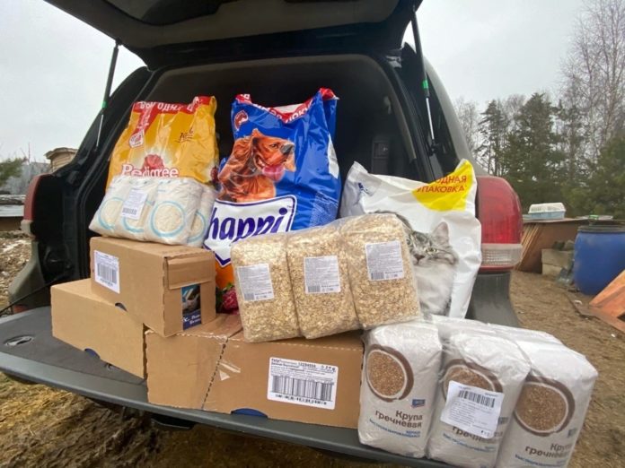 Помощь животным по время пандемии в Городском округе Подольск