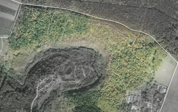 Принять участие в онлайн-опросе по благоустройству лесопарка «Дубровицкий лес» могут жители Городского округа Подольск