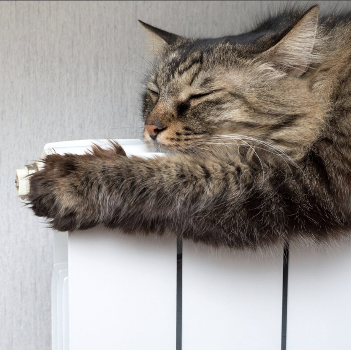 Комитет по жилищно-коммунальному хозяйству администрации городского округа Подольск сообщает