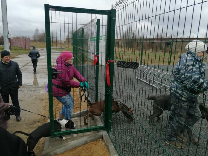 Доброе дело депутата