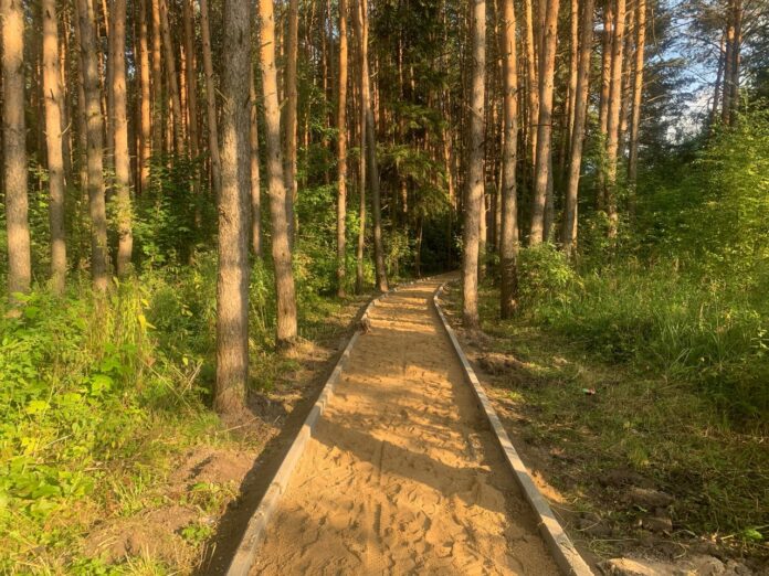 Продолжаются работы по строительству тротуара на улице Школьной в Климовске