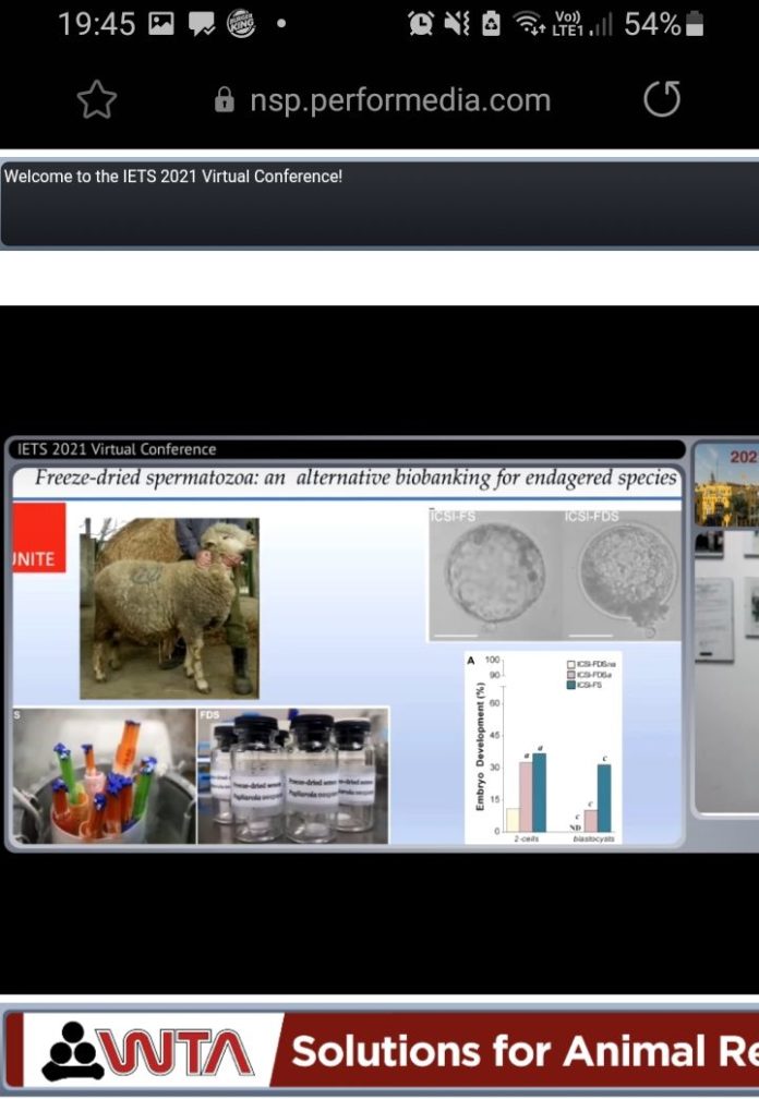 Ученые ФИЦ ВИЖ им. Л.К. Эрнста поучаствовали в 47-й конференции Международного сообщества по эмбриональным...