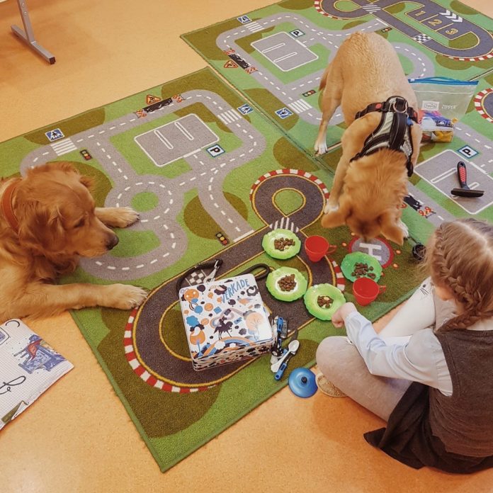 Подольский Центр реабилитации временно бездомных животных реализует программу канистерапии