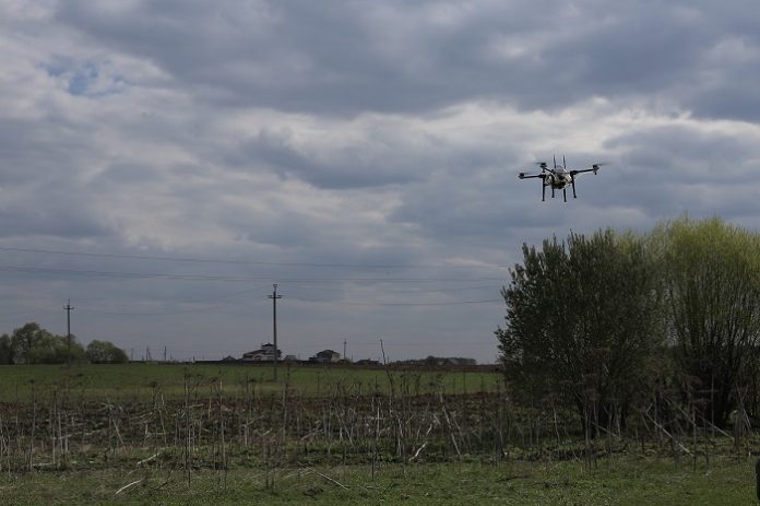 Подольск наградили за высокие результаты в борьбе с борщевиком