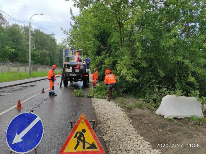 В микрорайоне Климовск ведутся работы по обрезке деревьев