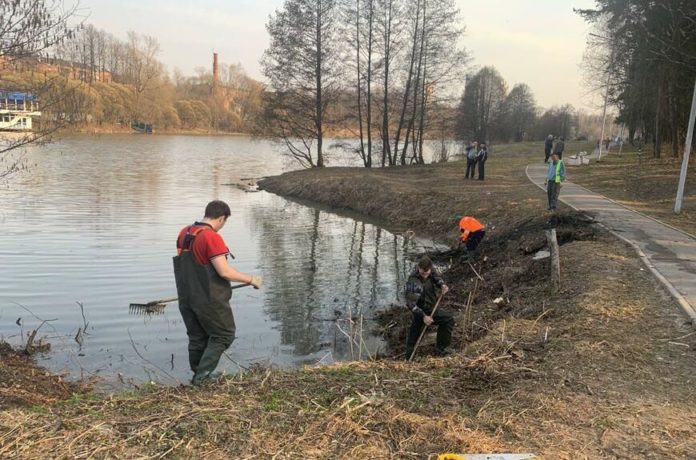 В Климовске из реки убрали мертвую рыбу