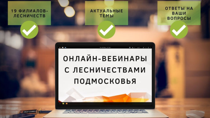 Онлайн-семинар в Подольском лесничестве пройдёт 10 декабря