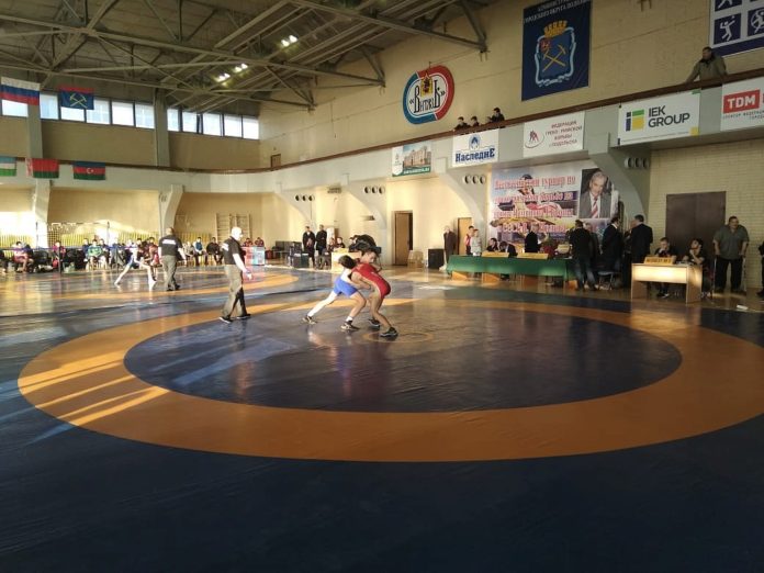 Спортсмены из округа отобраны для участия в первенстве России по греко-римской борьбе
