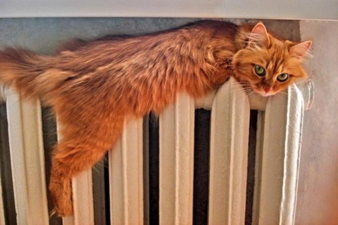 В Подольске все котельные работают в отопительном режиме