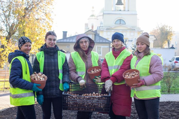 Этой осенью более 300 тысяч луковиц тюльпанов высадит Подольский комбинат благоустройства