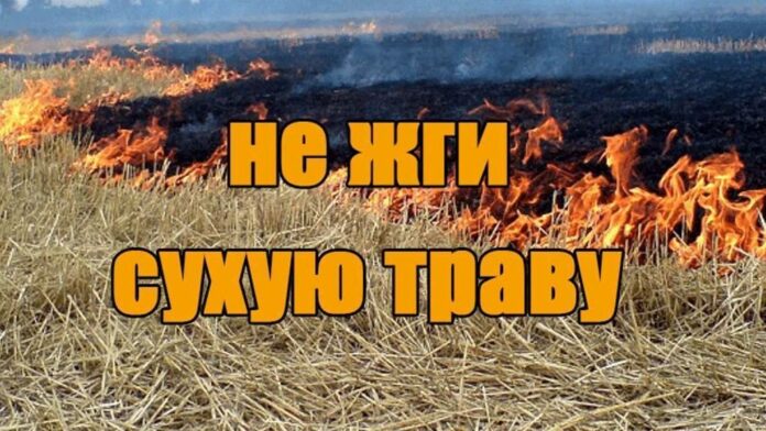 Сухую траву поджигать строго запрещено!