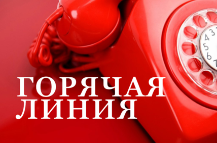 Горячая линия по питанию в школах через вендинговые аппараты организована в Подмосковье