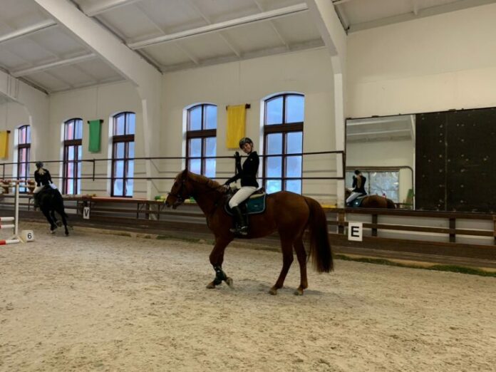 В КСК «Фаворит» состоялись соревнования по конкуру