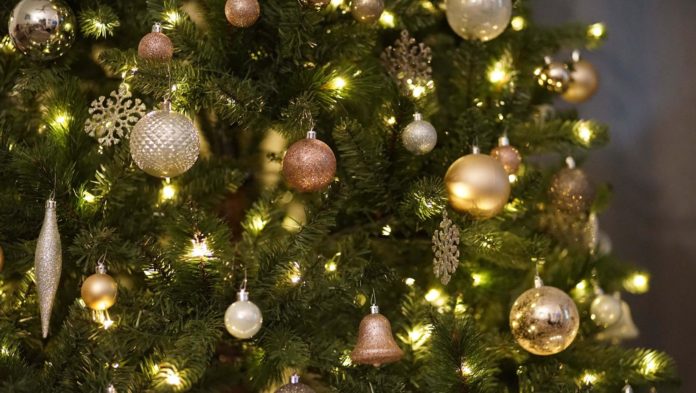 К сведению подольчан: что делать с елкой после Нового года