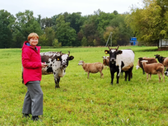 Изучить генетический материал коров, живших в XI-XVI веках планируют ученые ВИЖ имени академика Л.К....