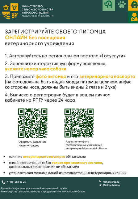 В Московской области запущена онлайн-регистрация домашних животных
