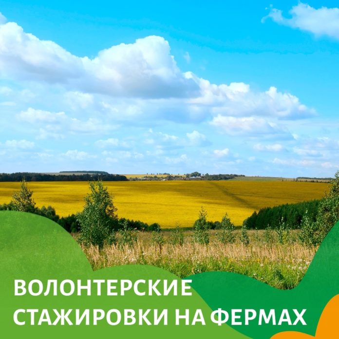 Минсельхоз России приглашает волонтеров для работы на фермах!