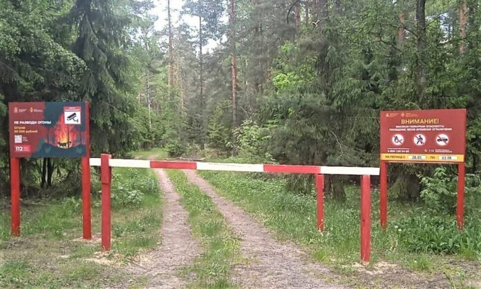 До 3 июня во всех лесничествах Подмосковья введены ограничения на посещение гражданами лесов и...