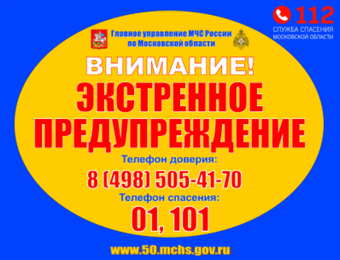 МЧС предупредило о грозе и сильном порывистом ветре 29 мая