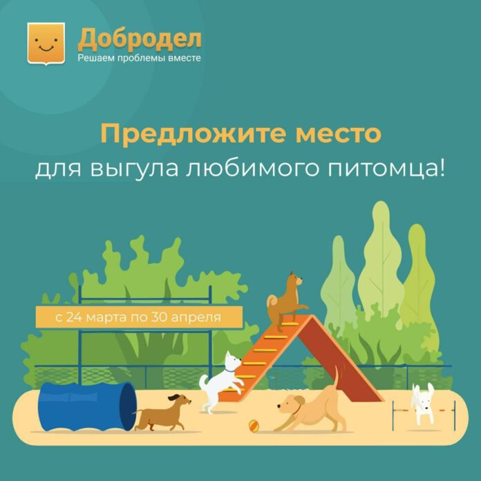 Жители Подольска приглашаются к участию в выборе места для выгула любимого питомца⠀