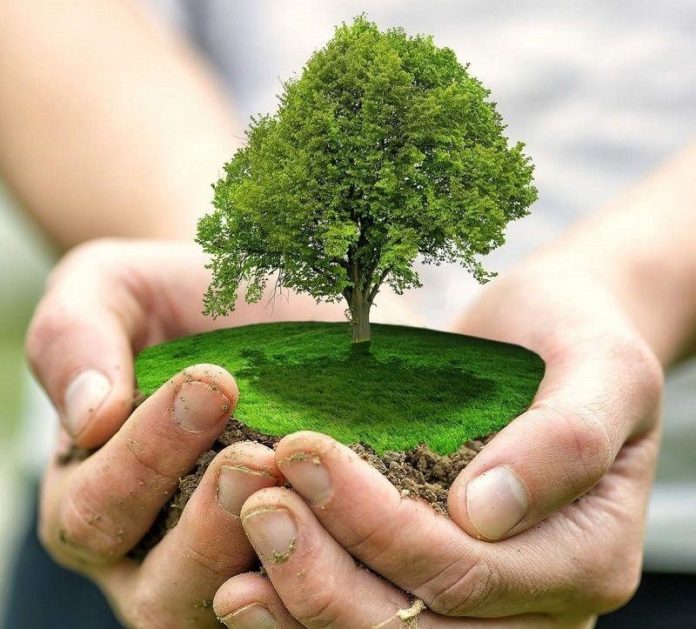 Субсидию в 1,4 миллиарда рублей получит Московская область на ликвидацию вреда окружающей среде, сообщает...