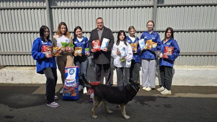 Партийцы и молодогвардейцы Подольска оказали помощь приюту для бездомных животных