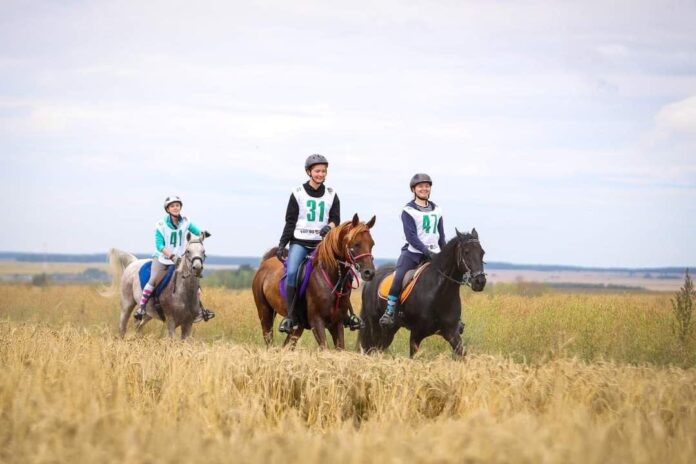 Спортсменки из Подольска успешно выступили на чемпионате Московской области по конному спорту