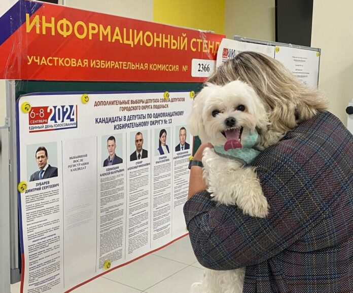 Подольчане приходят на выборы с четвероногими друзьями
