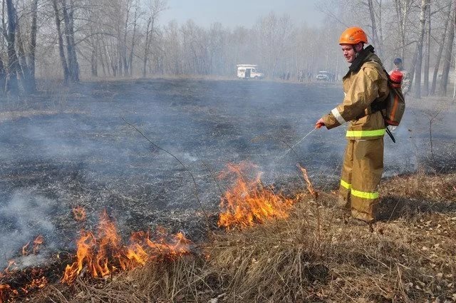 Призываем вас прислушаться к проблеме недопущения палов травы
