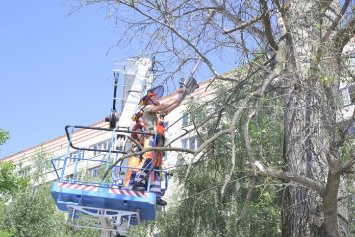 Подольский комбинат благоустройства совершил закупку новой техники для опиловки деревьев