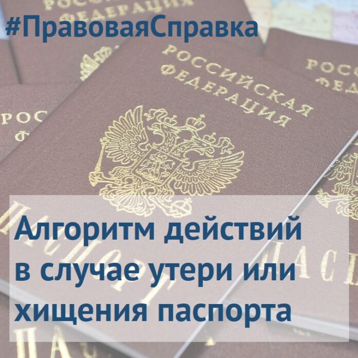 Алгоритм действий в случае хищения или утери паспорта