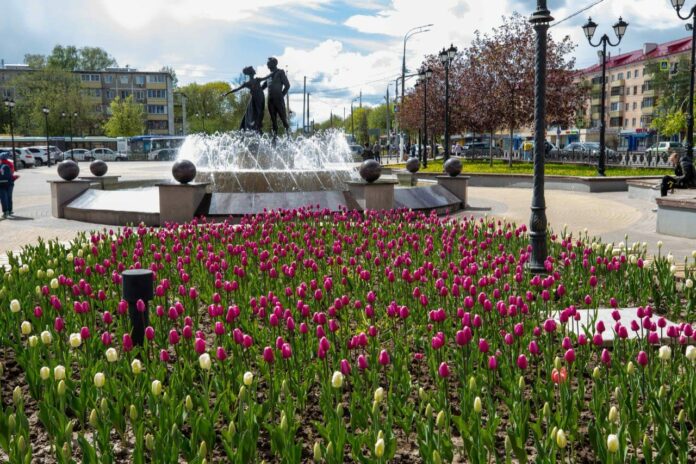 Городской округ Подольск расцветает