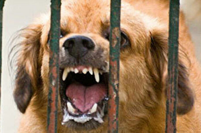 Вниманию владельцев животных