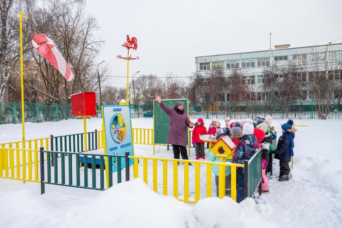 Экологическое развитие детей – приоритетное направление работы в детском саду «Аленький цветочек»