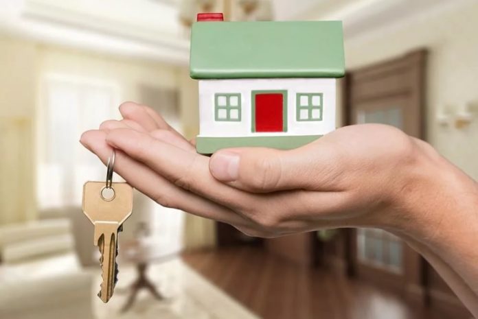 Для молодых учителей стартовал прием заявок на соципотеку в Подмосковье