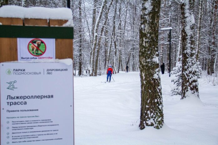 О благоустройстве подольского лесопарка «Дубровицкий лес» 