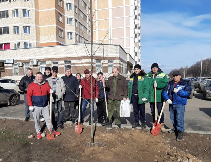 Саженцы редких дубов высадили на улице Академика Доллежаля в Кузнечиках