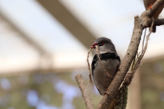Воспитанники студии «Перспектива»  стали победителями конкурса