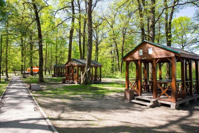 Мангальные зоны оборудованы в подольских местах отдыха